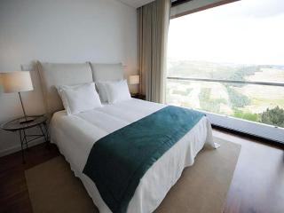Outstanding Pinhao Villa 4 Bedrooms Villa Gouva Pool Table Stunning Valley Views - Pinhão - 0