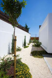 Paradise Cove Luxurious Beach Villas Cerulean 1 Bedroom Villa - Paphos - 1