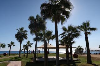SUNNY COAST - Paralimni - 1