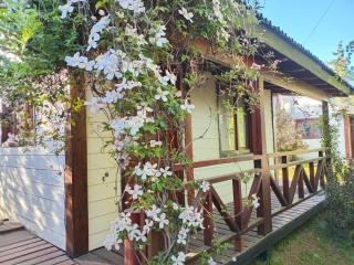 Nahuel Huapi area - Dina Huapi - 0