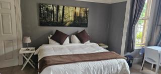 Cape Robin Guesthouse - Greytown - 5