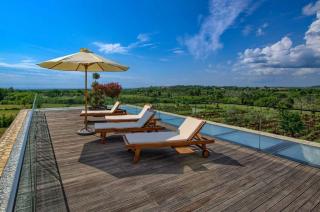 Villa Yellow Tree Jasenovica Istria Croatia - Jasenovica - 6