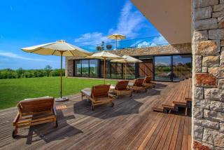 Villa Yellow Tree Jasenovica Istria Croatia - Jasenovica - 5