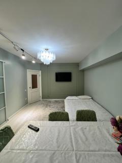 Вид на горы центр Призидентский парк - Almaty - 1
