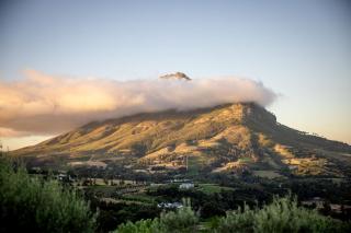 Camissa Farm - Stellenbosch - 1