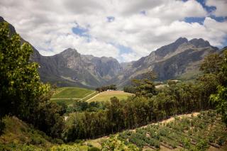Camissa Farm - Stellenbosch - 5