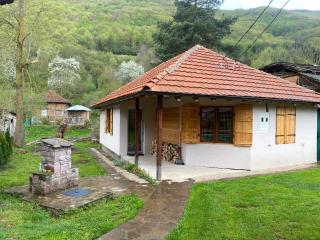 Vila Panic - Pirot - 1
