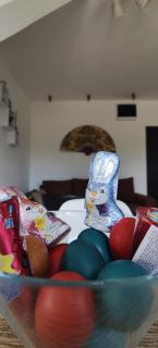 Apartman Filip Divčibare - 6