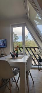 Apartman Filip Divčibare - Divčibare - 6