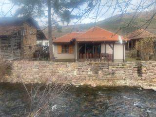 Vila Panic - Pirot - 7