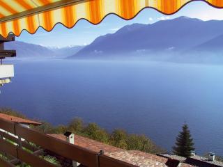 Parco Esotico by HolAp SA - Brissago - 0