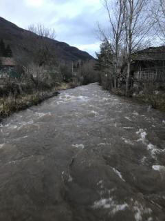 Vila Panic - Pirot - 8
