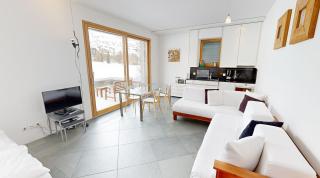 Schweizerhaus Apartments - 1