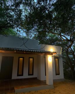 In the Wild by RoamCeylon - Polonnaruwa - 0
