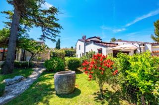 Casa Ana Istria Casa Ana 3 - Crveni Vrh - 3