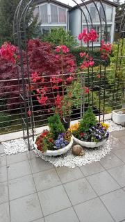B&B Grace - Villa Opicina - 8