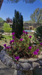 Villa Uzès - Uzès - 8