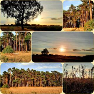 Ferien-und Bauernhof Gauster - Trebel - 2