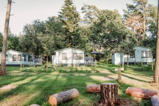 Ferienhäuser Insel Usedom Waldhaus 3 mit Whirlpool - Direkt am Achterwasser - Lütow - 5