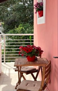 Studio Cattleya - Kastanéa - 7