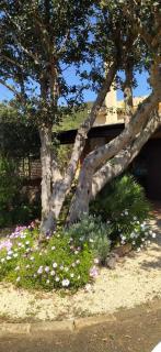 Villa Larica - Chia - 1