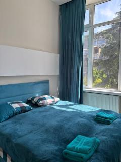 Brightest and Coziest in Vake - Tbilisi - 1