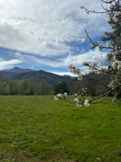 Camping Les Prairies - Scata - 4