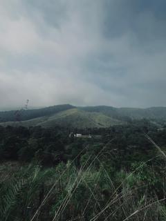 Brooks Resort - Vagamon - 4