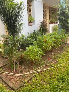 Moushumi's Home - 2 Bedrooms - Pet Friendly - 3