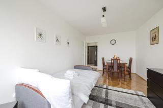 Osiedle Przyjaźni 9 Comfy Apartment - Posen - 8