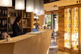 Alevic Hotel Sirmione - Sirmione - 0