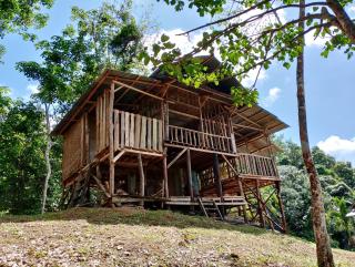 ORANGUTANTREKSUMATRA & LOVELY JUNGLE LODGE only book IF you are treking with us - Bukit Lawang - 7