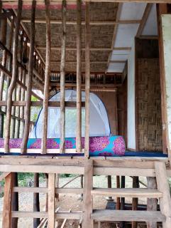 ORANGUTANTREKSUMATRA & LOVELY JUNGLE LODGE only book IF you are treking with us - Bukit Lawang - 8