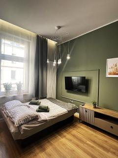 GREEN Apartment 2 - Poznań - 9