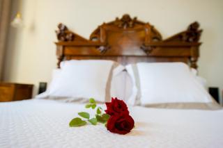 Bolet Casa Modernista - 5