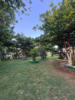 Eco farmville - Hyderabad - 7
