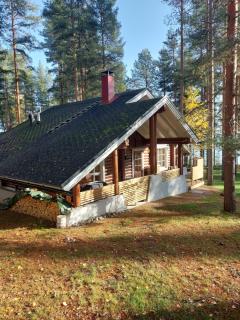 Holiday Home Honkakoli 1 - Kolinkylä - 8