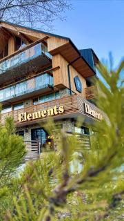 Hotel ELEMENTS Tatranska Lomnica - 9