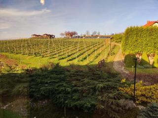 Hotel Winnica Maria Anna - 2