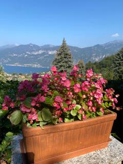 Bellagio Panorama - Bellagio - 7