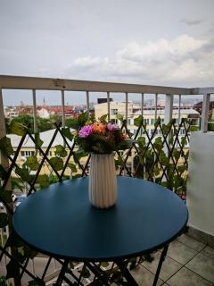 TeMi - Novi Sad - 7