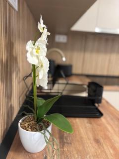 Agora2 Apartman - Hajdúszoboszló - 2