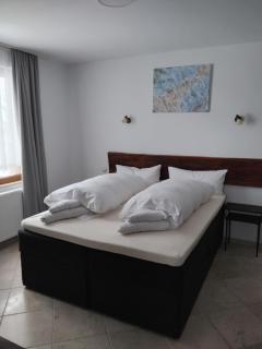 D Villa - Mineralni Bani - 5