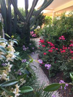 Home Garden - Roseto degli Abruzzi - 9