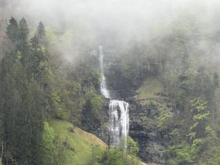 Revier Stäuben-Oase - Diesbach - 4