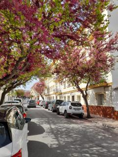 Apartamento Solimar - Ronda - 1