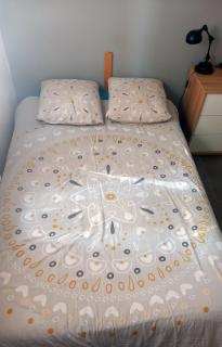 Chambre salle de bain clim - Saint-Laurent-de-Mure - 3