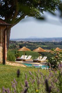 Agriturismo PANCOLINA - San Gimignano - 7