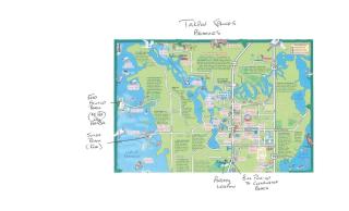 Experience Our Little Bit of Paradise Near Beaches - Tarpon Springs - 9