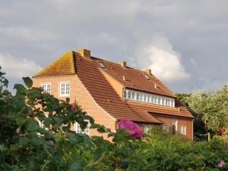Insa 33 01 Landhaus Bant - Juist - 0